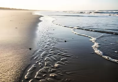 Imagen PNG para descargar